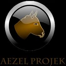 Aezelproject