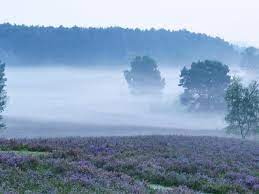 november in Zuid-Limburg