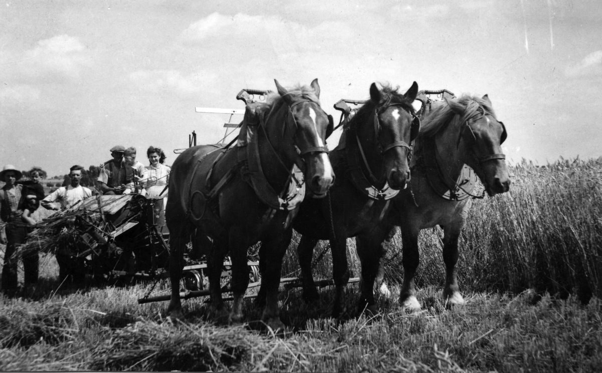 Mini-expositie LLTB bij HCL Maastricht tot 4-2-'24