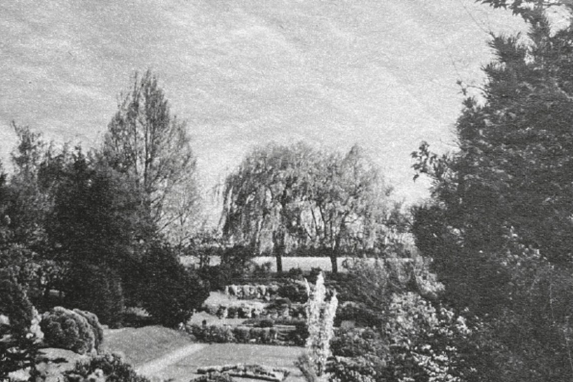 3.Dingertuin in 1957